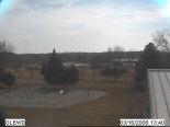 Arkansas, Glenwood  webcams