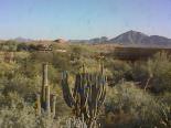 Arizona, Phoenix webcams