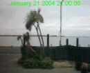 Estuary webcams