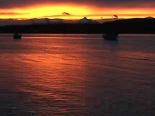 Puerto Natales webcams