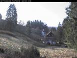 Harz  webcams