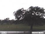 Texas, Goliad webcams